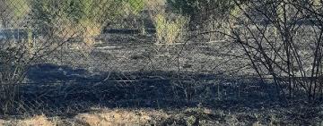 На Одещині вночі горів фруктовий сад 